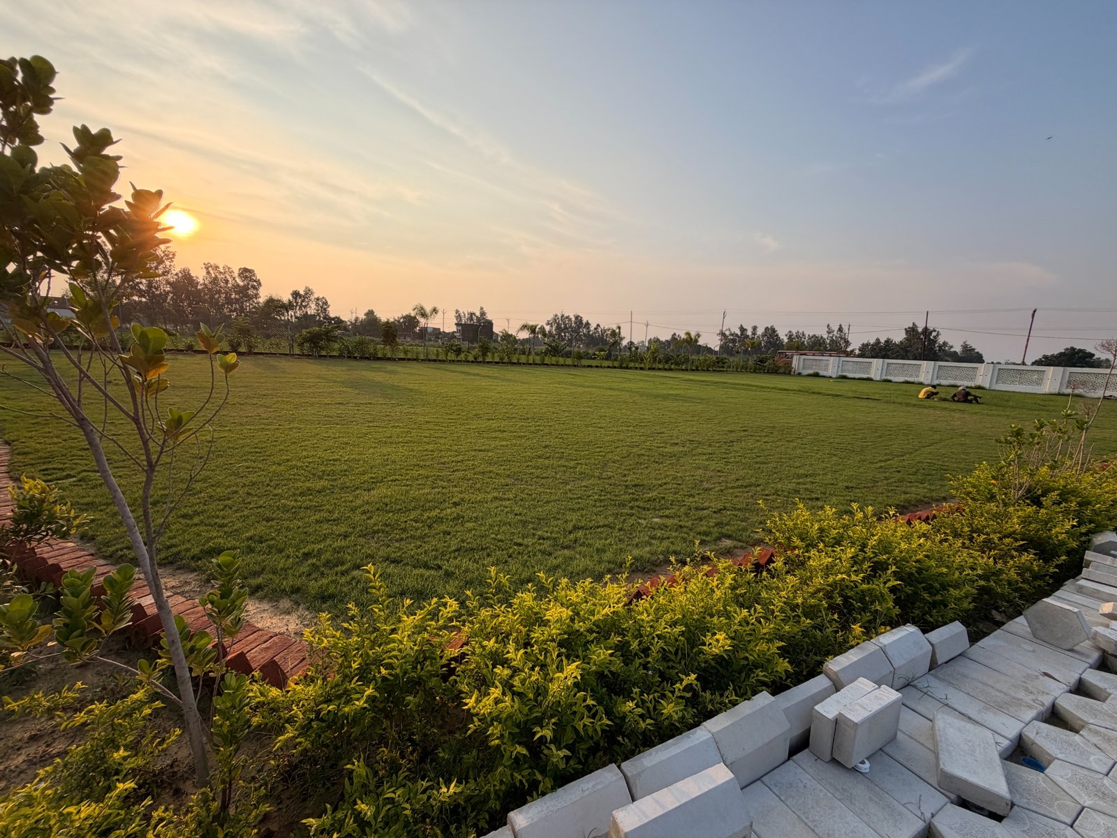 Royal Avadh lawn